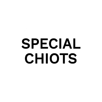 SPECIAL CHIOTS